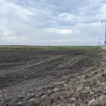 pxl_20250515_150732273