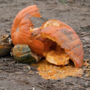 pumpkin-explode