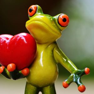 vday-frog