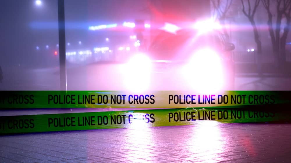 shutterstock_1662329779389689