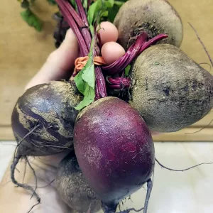 sick-beets