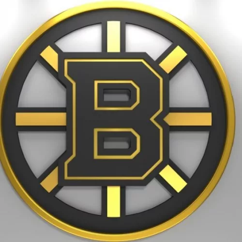 Emblem of the Boston Bruins. The Boston Bruins are a professional ice hockey team. Logo for presentation or infographics. 3D render. 3D Illustration