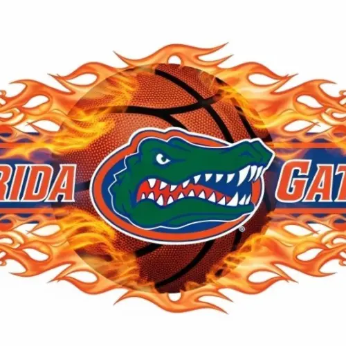 Florida Gators basketball logo with basketball and flames and put them in a border in a row
