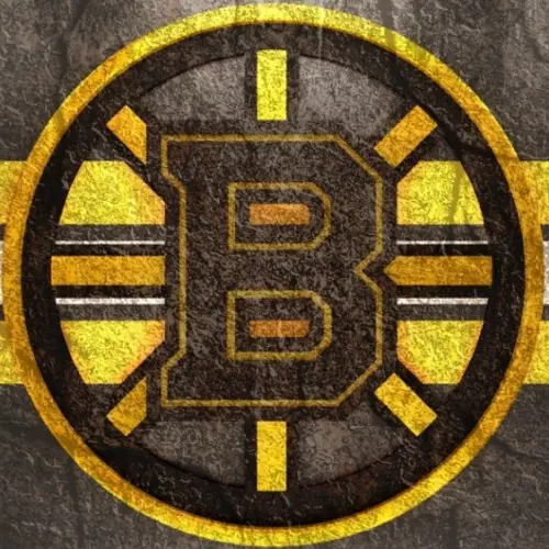 Emblem of the Boston Bruins. The Boston Bruins are a professional ice hockey team. Logo for presentation or infographics.
