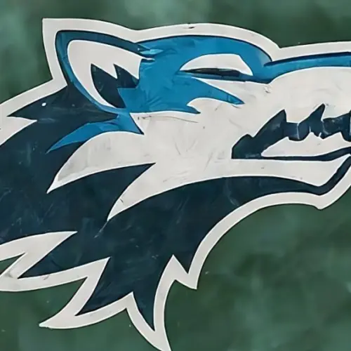 AI-generated image Winter scene minnesota timberwolves LOGO nba finals champions 2024 (This content was generated by an Artificial Intelligence (AI) system)
