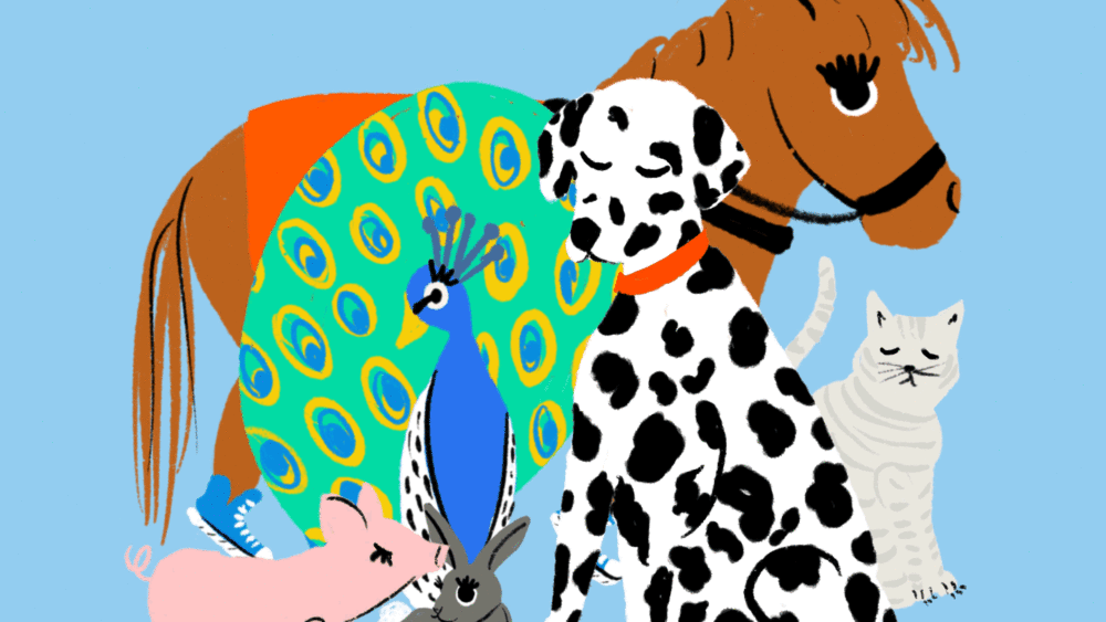 alimac_washpo_allanimals_r2