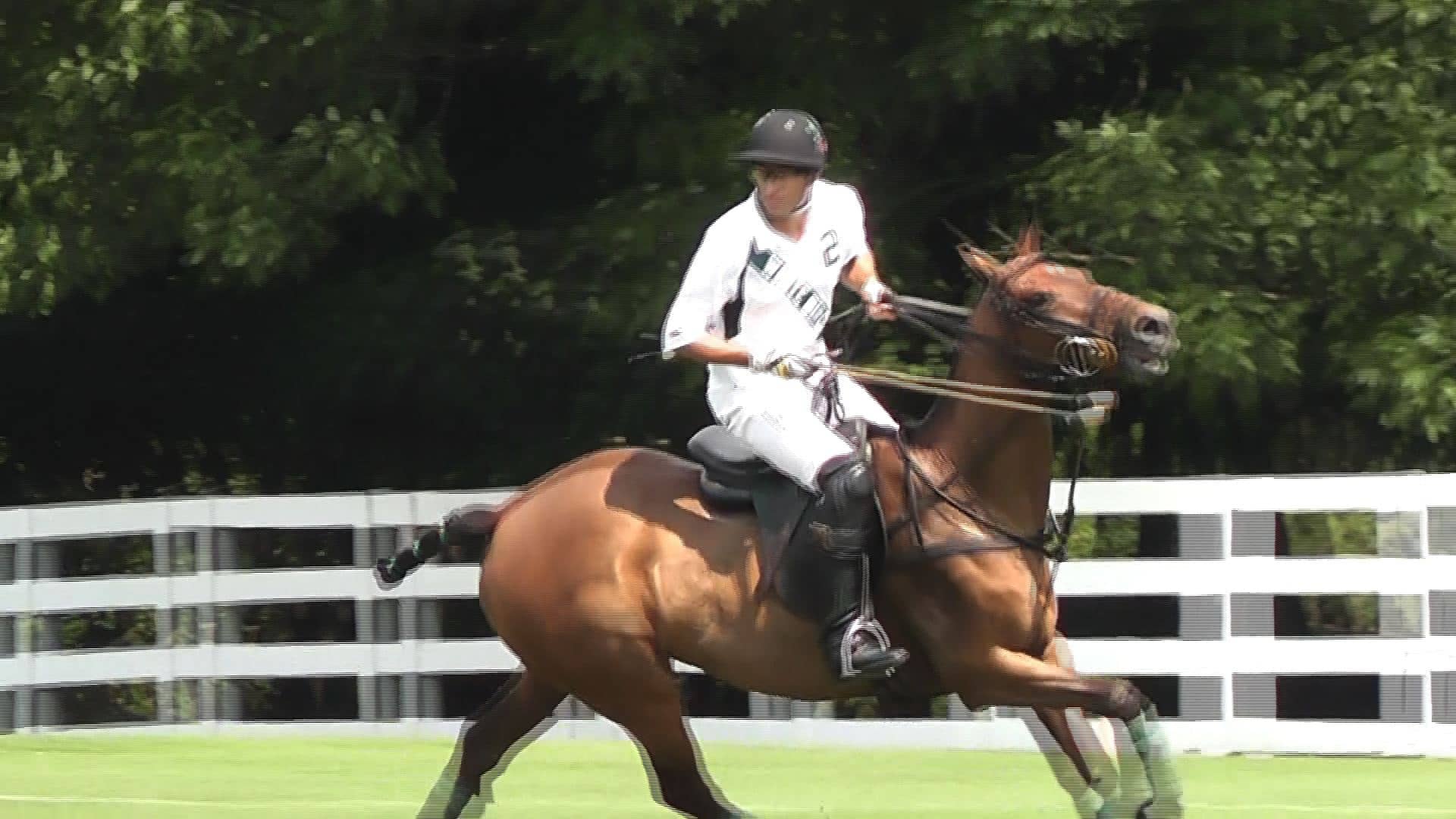 party-at-polo-2