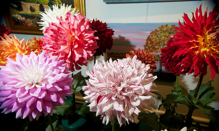 flowers-10-9
