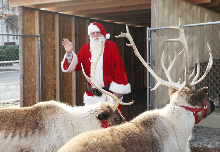 santa-with-reindeer-fi-2