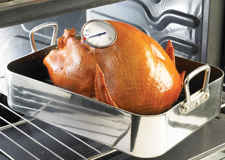 turkey-thermometer-fi