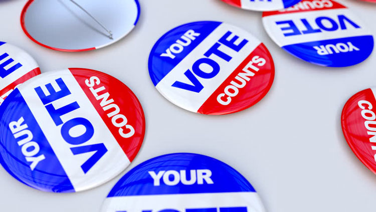 your-vote-counts-pins-fi