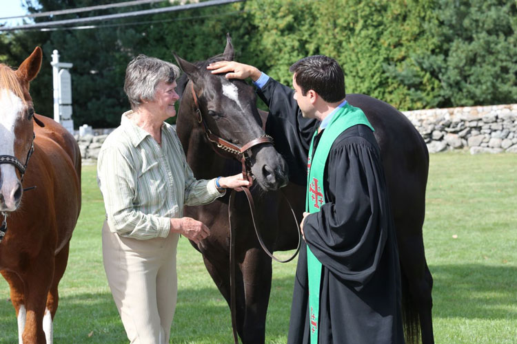blessing-animals-horse