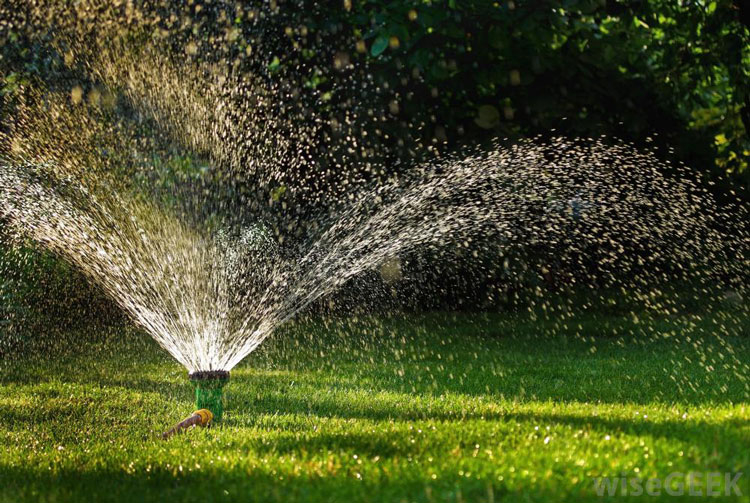 sprinkler-outdoor-watering