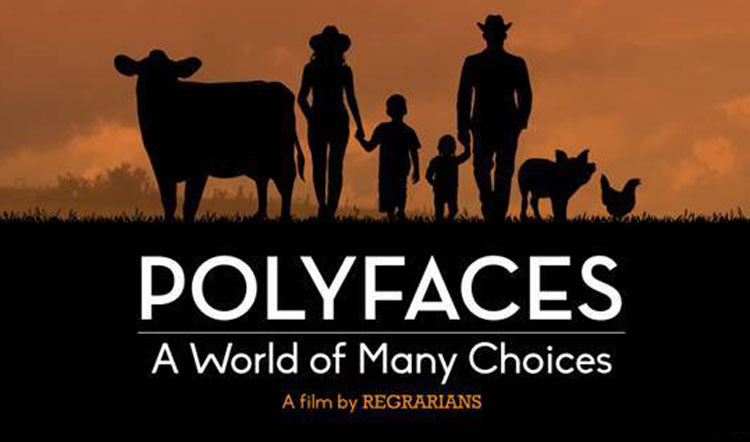 polyfaces-movie-poster