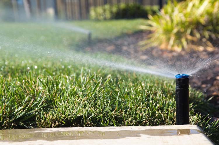 sprinkler-irrigation
