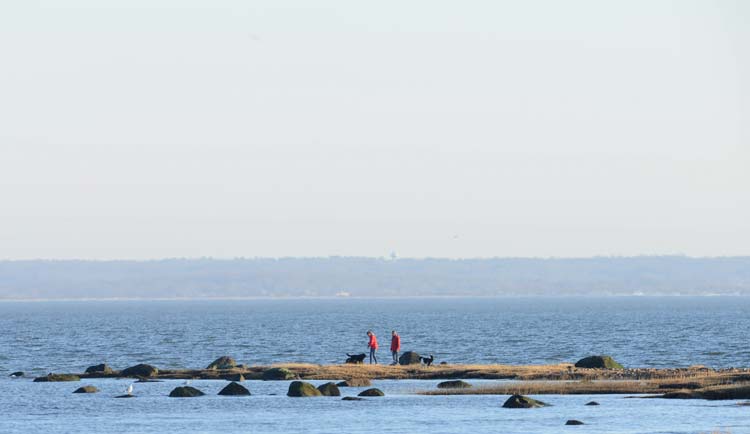 tods-point-long-island-sound