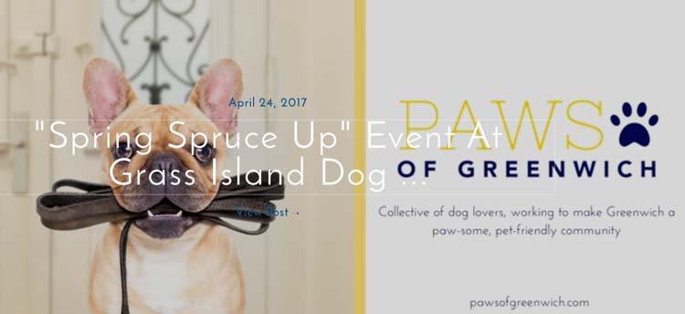 paws-of-greenwich-spring-spruce-up