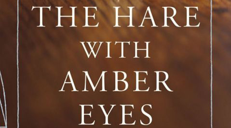 theharewithambereyes-bookcover-fi