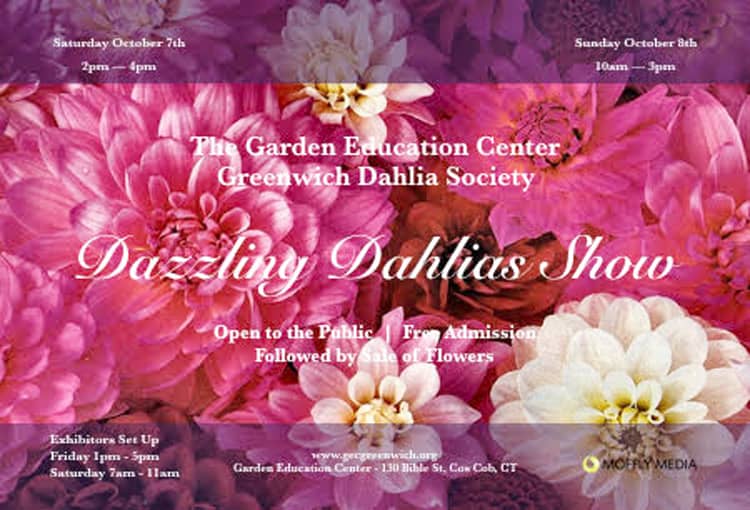 dazzling-dahlia-show-flyer