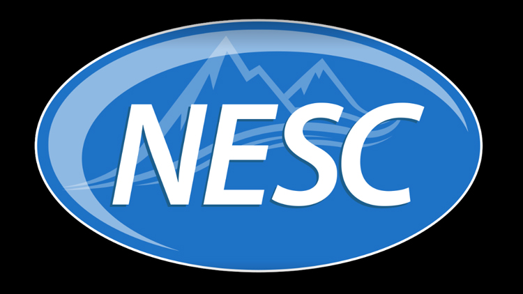 the-national-executive-service-corps-logo