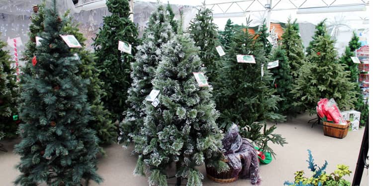 christmas-tree-sale