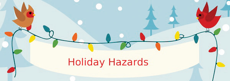 holiday-hazards-banner