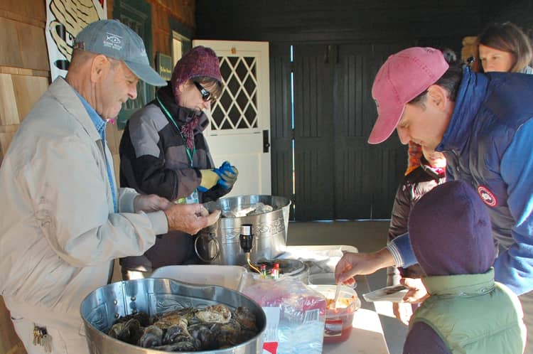 ed-stilwagen-shucking-oysters