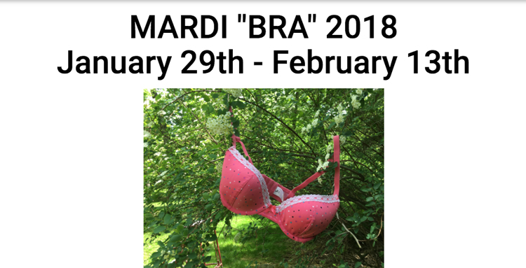 mardi-bra-drive-banner