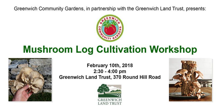 mushroom-log-cultivation-banner