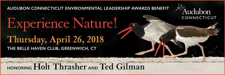 audubon-environmental-awards-banner