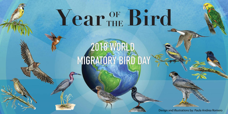 world-migratory-bird-day