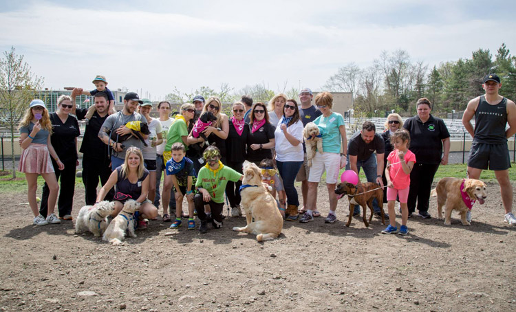 paws-of-greenwich-dog-park-spruce-up