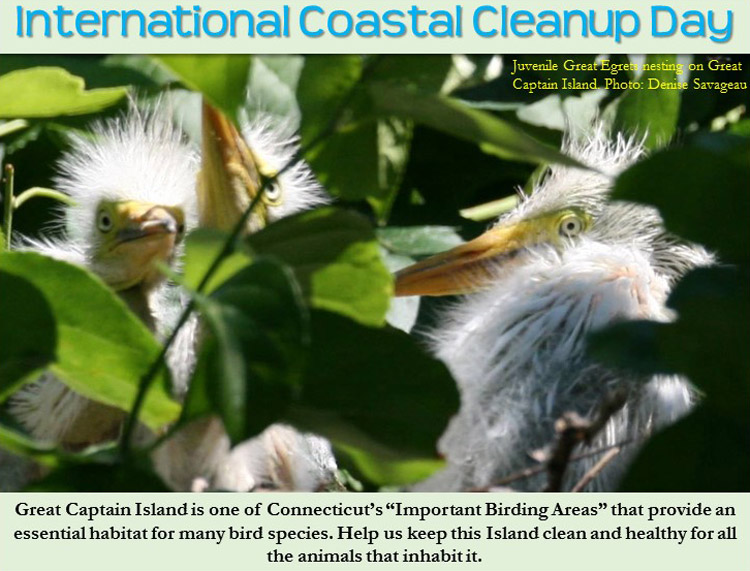 great-captain-island-international-coastal-cleanup-day