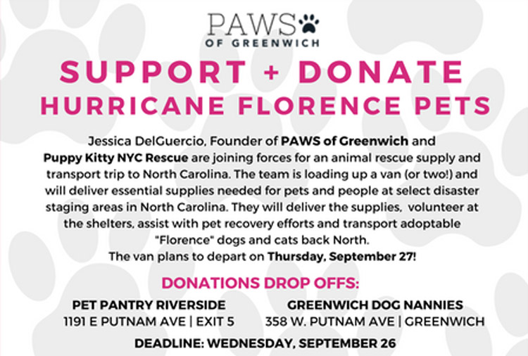 paws-of-greenwich-hurricane-donation-drive-flyer