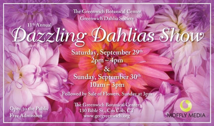 dazzling-dahlias-show-flyer