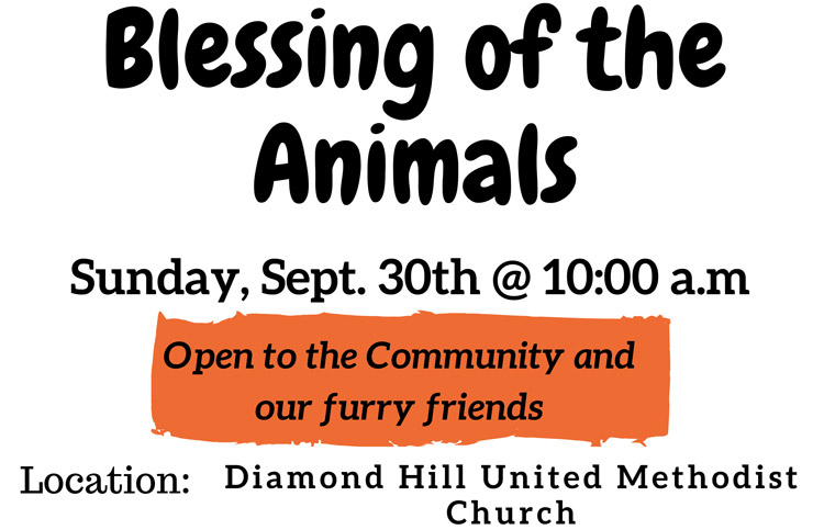 blessing-of-the-animals-diamond-hill