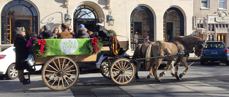 holiday-stroll-weekend-horse-carriage-ride