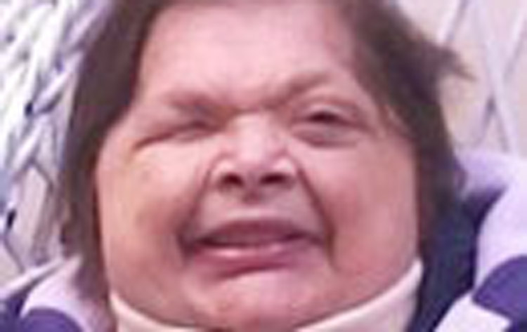 susan-pyle-fi
