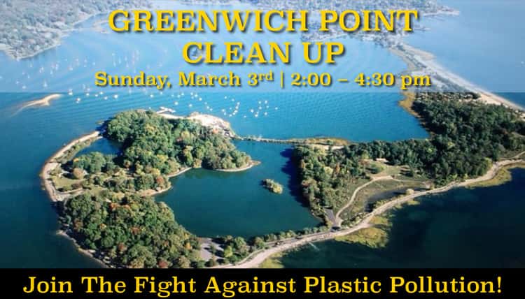 greenwich-point-clean-up-flyer