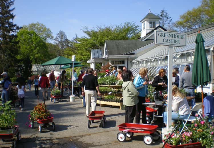 greenwich-botanical-center-may-gardeners-market