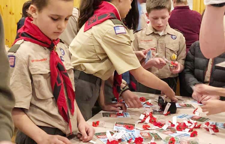 scouts-poppy-cards