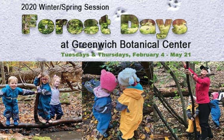 botanical-center-forestdays-program