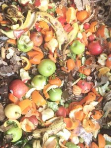 foodscraps