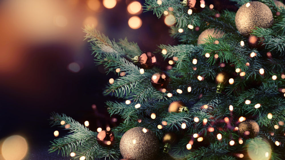 bobby-walker-gifts-under-the-tree