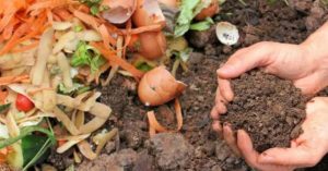 composting