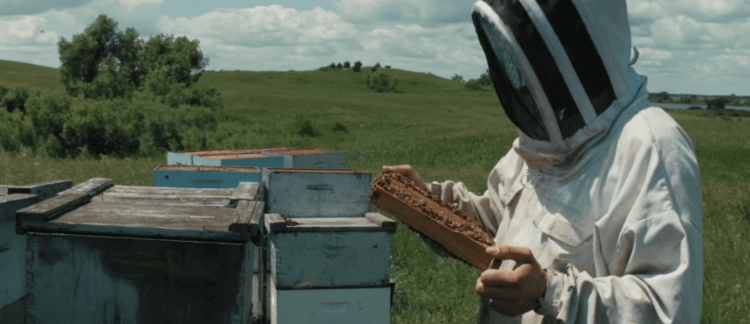keep-the-hives-alive-documentary-screenshot