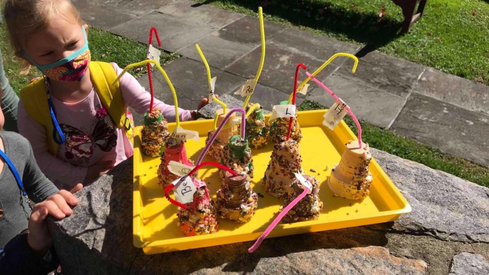 1-bird-feeders