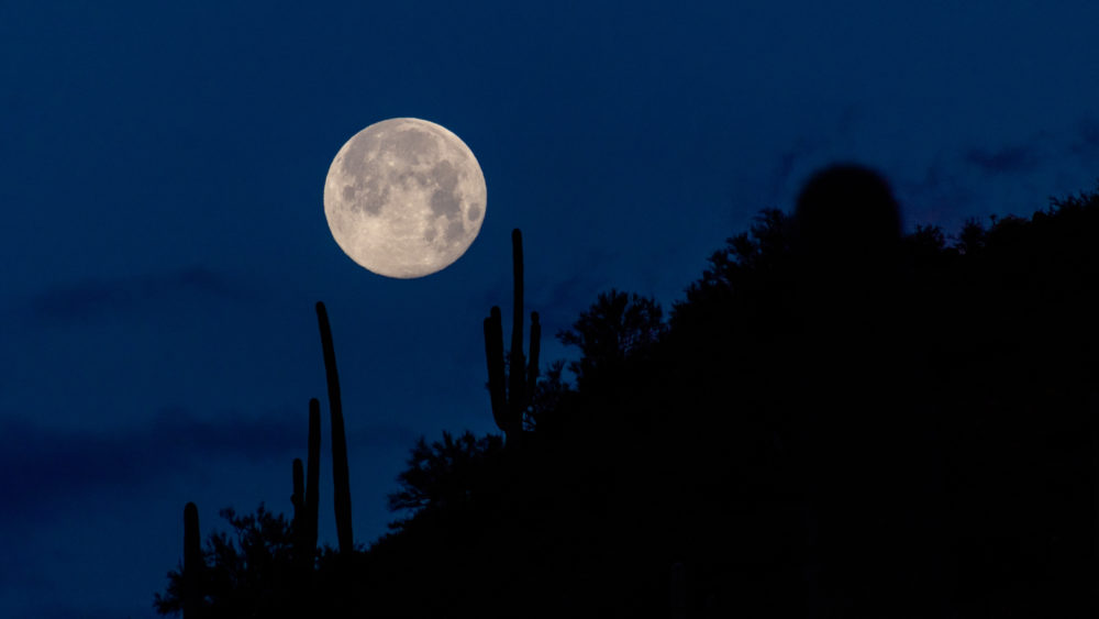 thesuperwormfullmoonduringthespringequinox-silhouettes