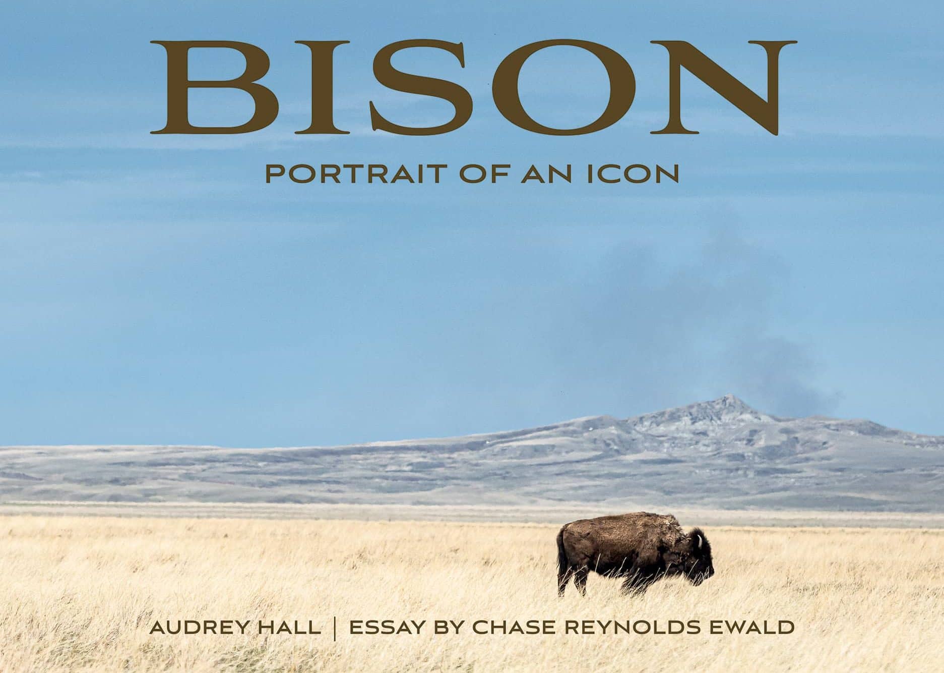 2-bison-front-cover