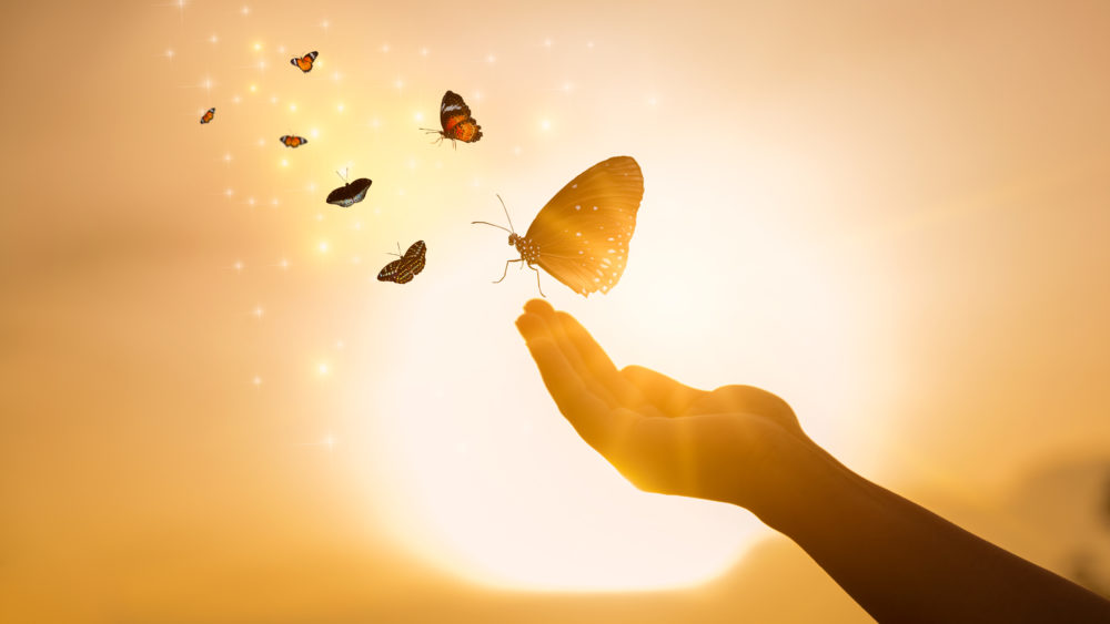 thegirlfreesthebutterflyfrommomentconceptoffreedom